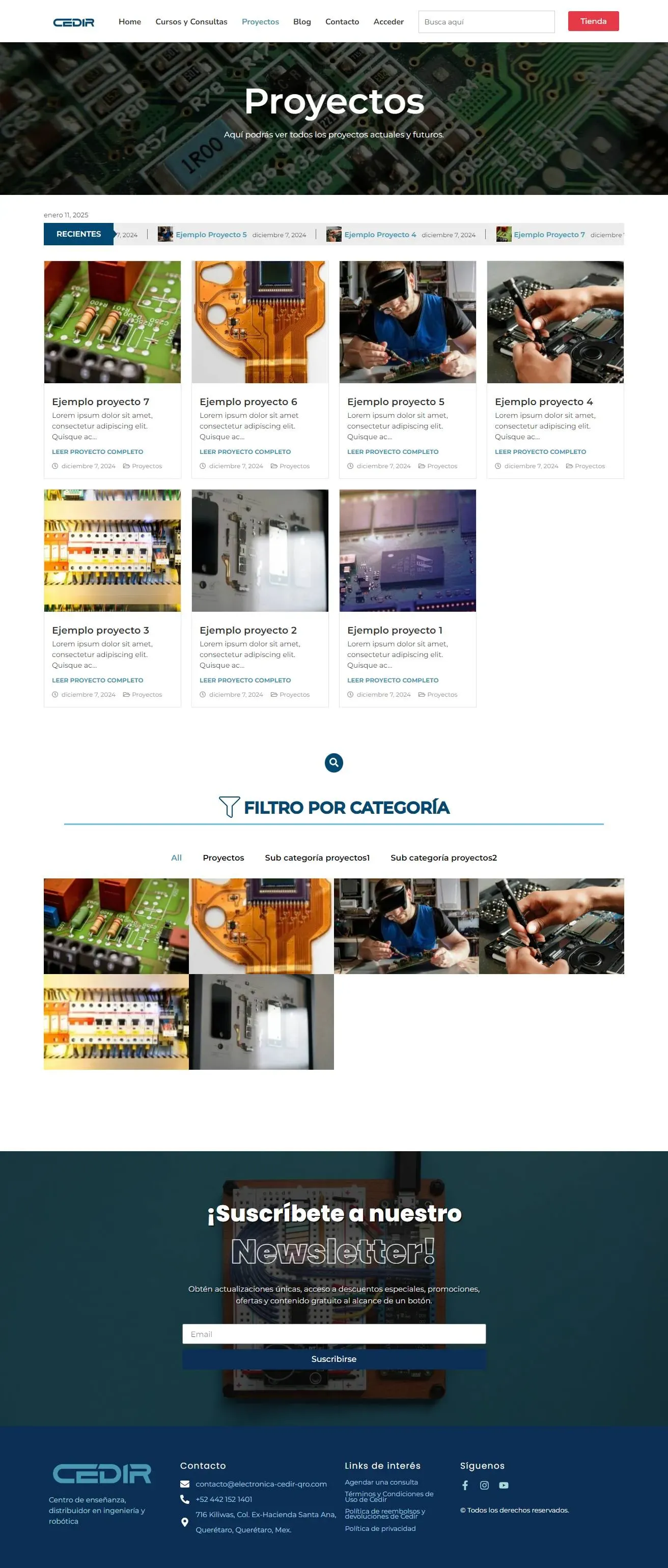 Minimalist project gallery for Cedir displaying a portfolio of professional consulting work and case studies.