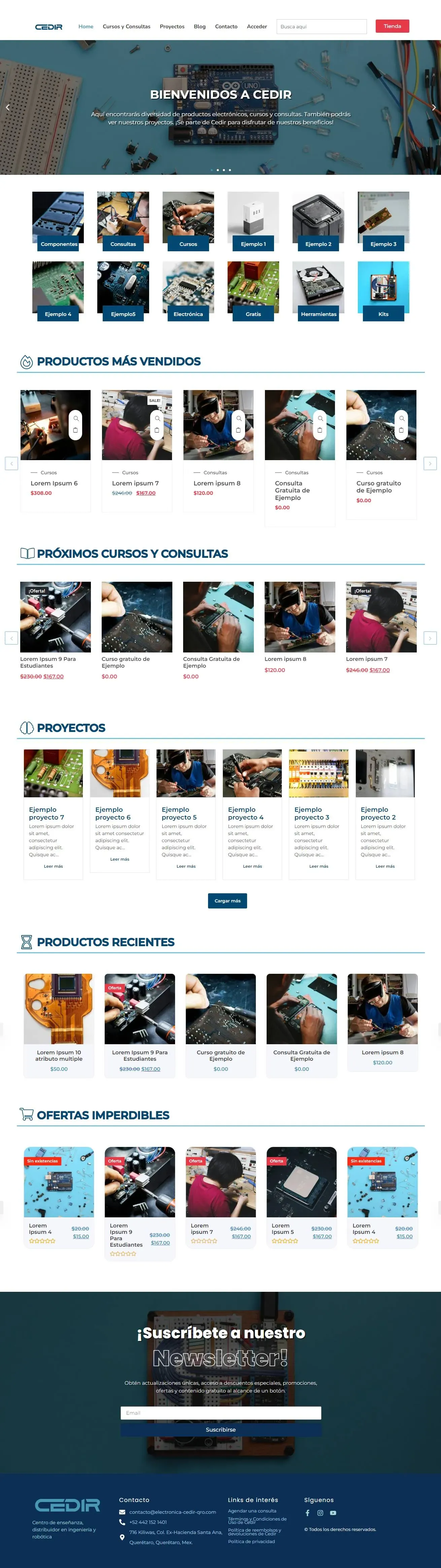 Full homepage layout for Cedir featuring a centralized menu for e-commerce, blog, and professional services.