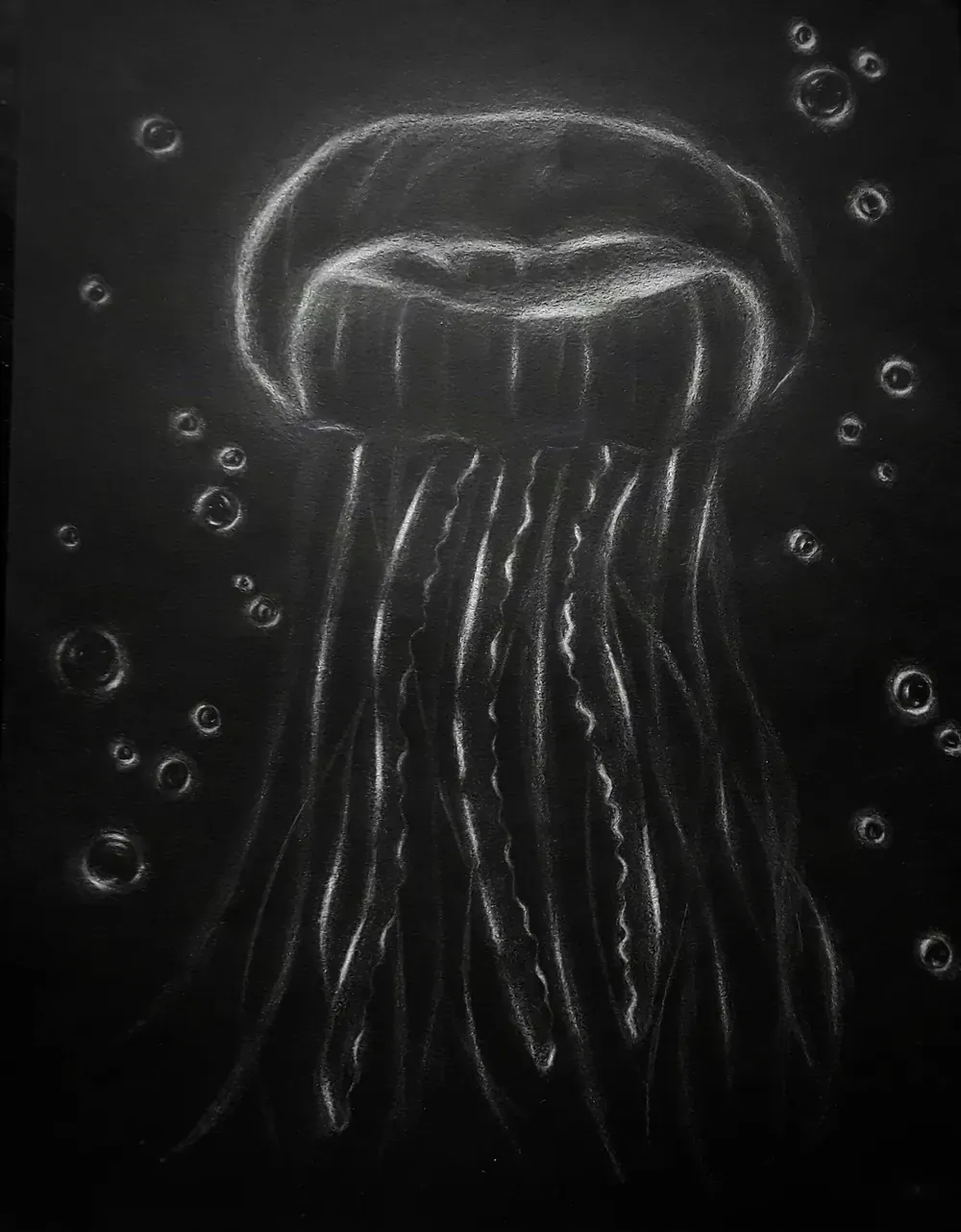 White charcoal jellyfish on black paper, with trailing tentacles and bubbles rendered as points of light